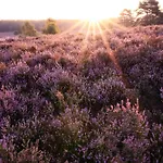 아파트 Heidehof Oberhaverbeck