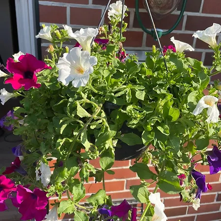 Heidehof Oberhaverbeck *