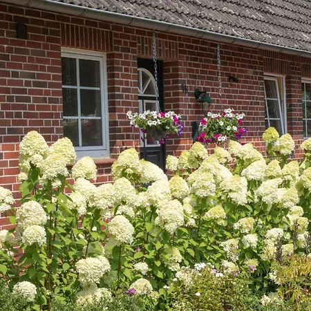 Heidehof Oberhaverbeck Apartment