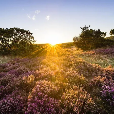 Heidehof Oberhaverbeck *