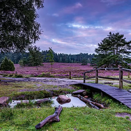 Heidehof Oberhaverbeck * Bispingen