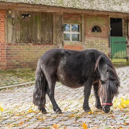 Heidehof Oberhaverbeck