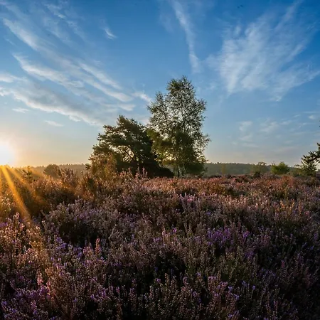 Heidehof Oberhaverbeck Apartment