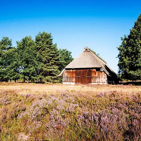 Heidehof Oberhaverbeck 비스핑엔